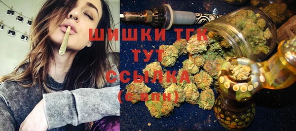 метадон Гусев