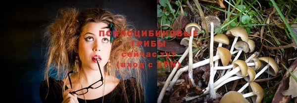 метадон Гусев