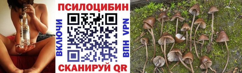 Галлюциногенные грибы GOLDEN TEACHER  Купить где  Электросталь 